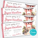 Editable boarding pass Japan travel gift
