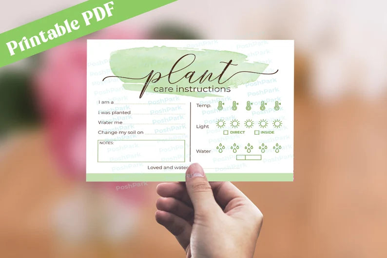succulent care sheet pdf PDF Plant Care Card Plant Card