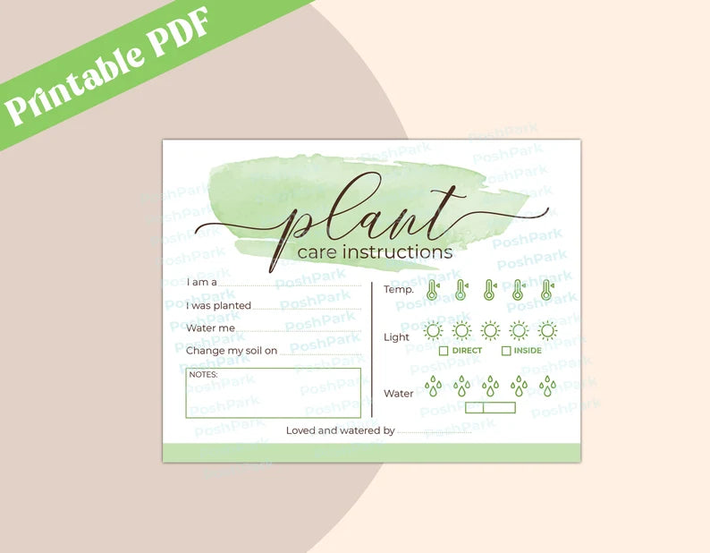 succulent care sheet printable PDF Plant Care Card Plant Card