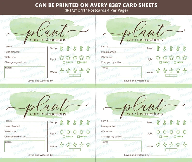 succulent care pdf PDF Plant Care Card Plant Card