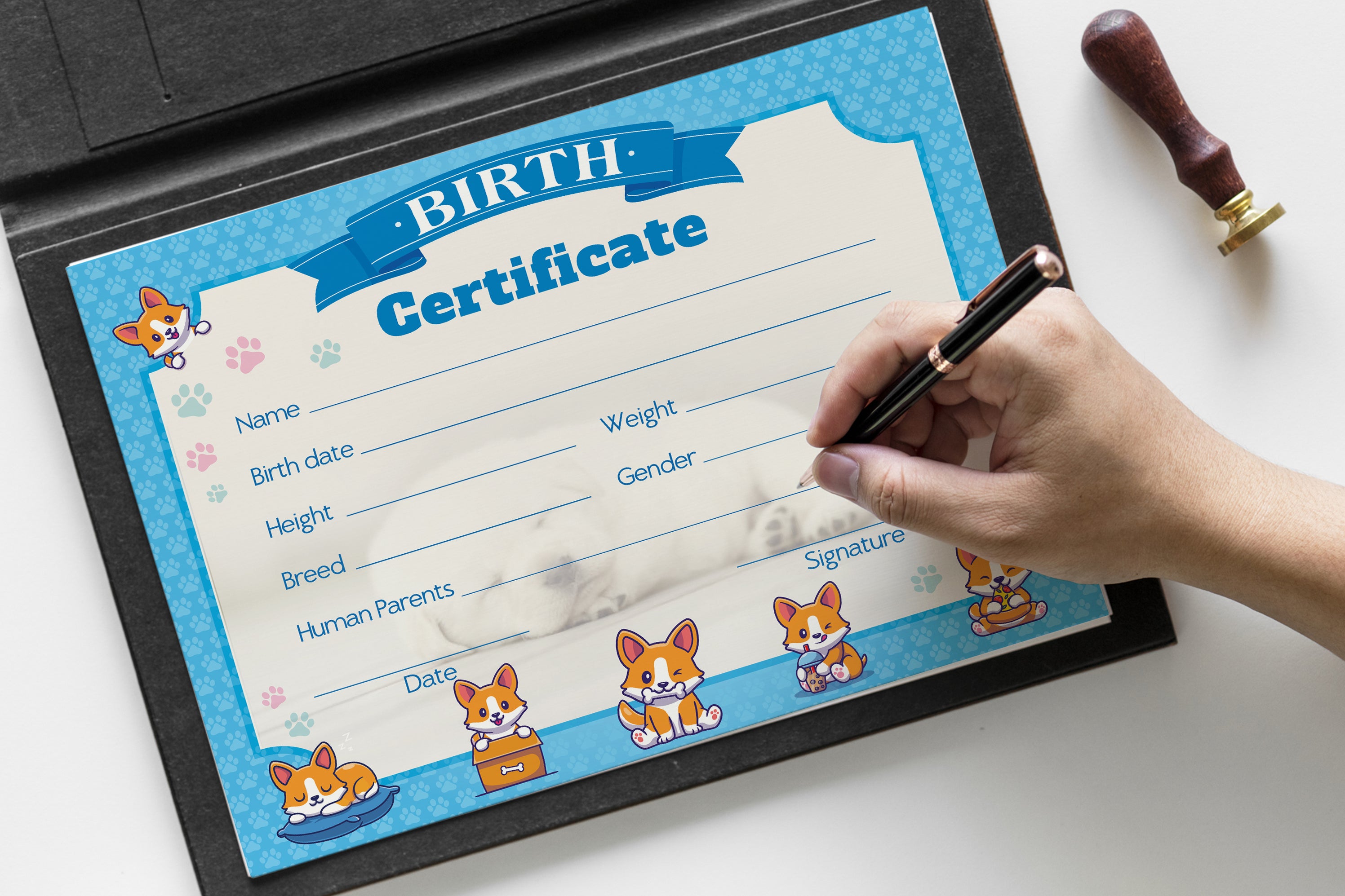 Editable Dog Birth Certificate Template DIY Printable Puppy Birth Cer