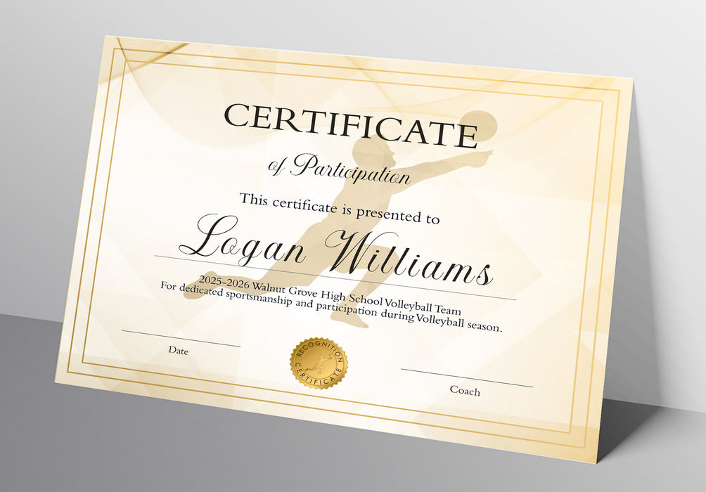 DIY Volleyball Award Certificate for Boys | Sport Participation Template