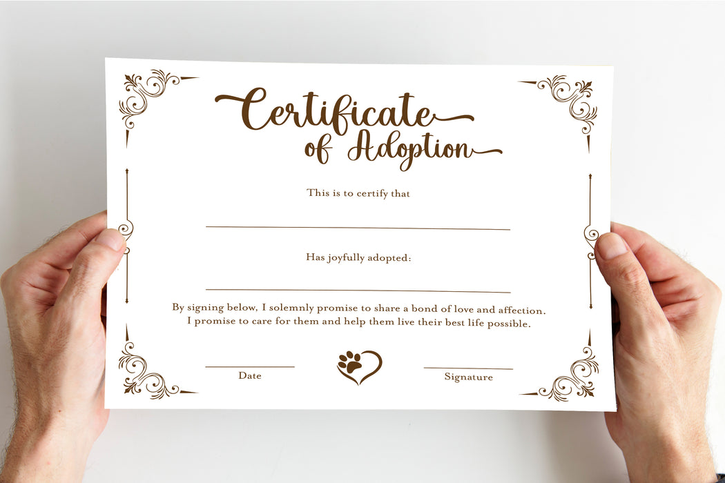 hamster_adoption  Pet_Adoption  dog_certificate  adopt_a_puppy  Pet_Certificate  Pet_Certificates  breeder_printable  Puppy_Adoption  Adoption_Certificate  dog_adoption  puppy_printable  print_certificate  certificate_template