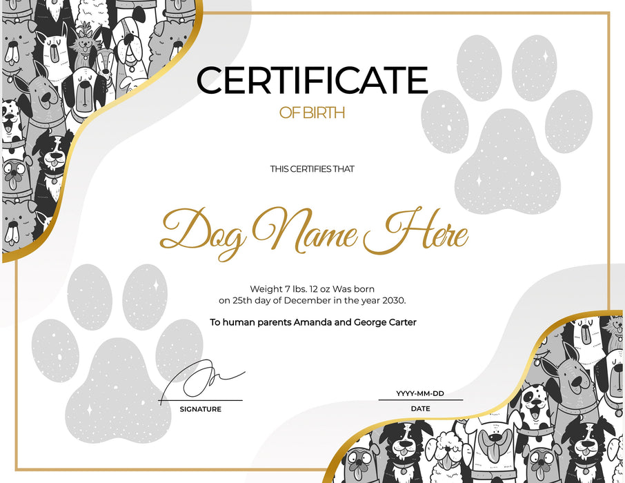 Dog Birth Certificate Template Puppy Birth Certificate Breeder Birth