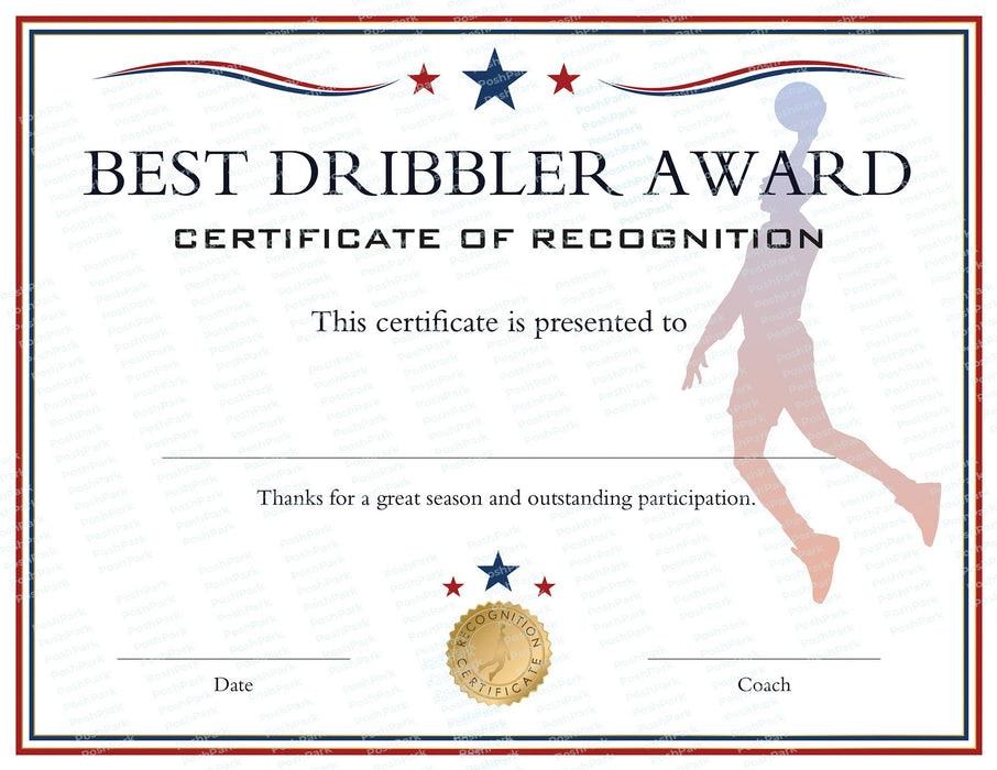 16 PRINTABLE End of Season Basketball Award Certificates - Posh Park 16-printable-end-of-season-basketball-award-certificates-posh-park