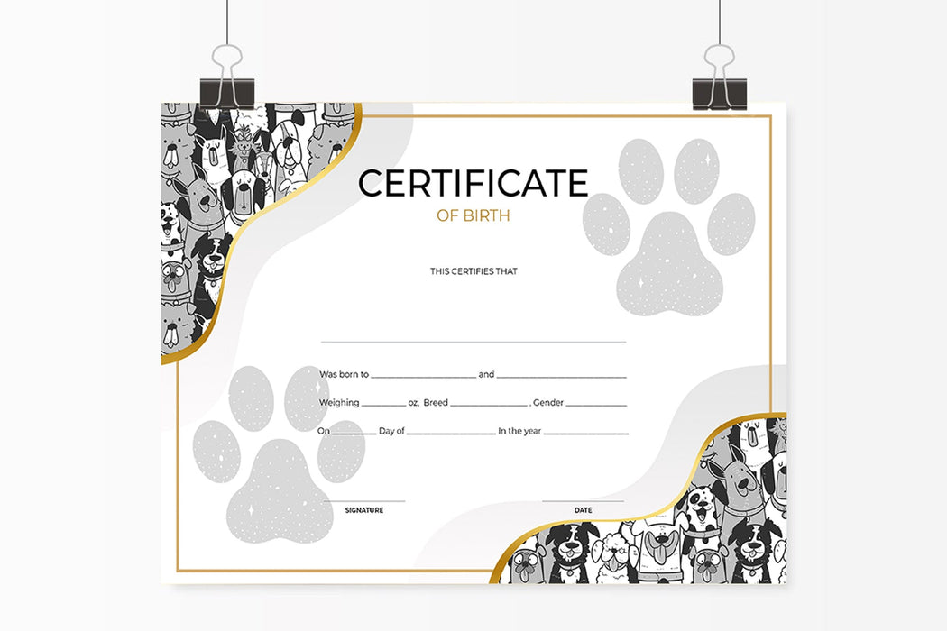 PRINTABLE Blank PDF Dog Birth Certificate Template, New Puppy Printabl โ Posh Park printable-blank-pdf-dog-birth-certificate-template-new-puppy-printabl-posh-park